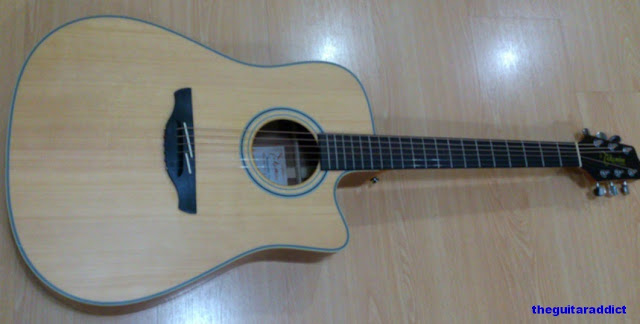 takamine+eg510.jpg