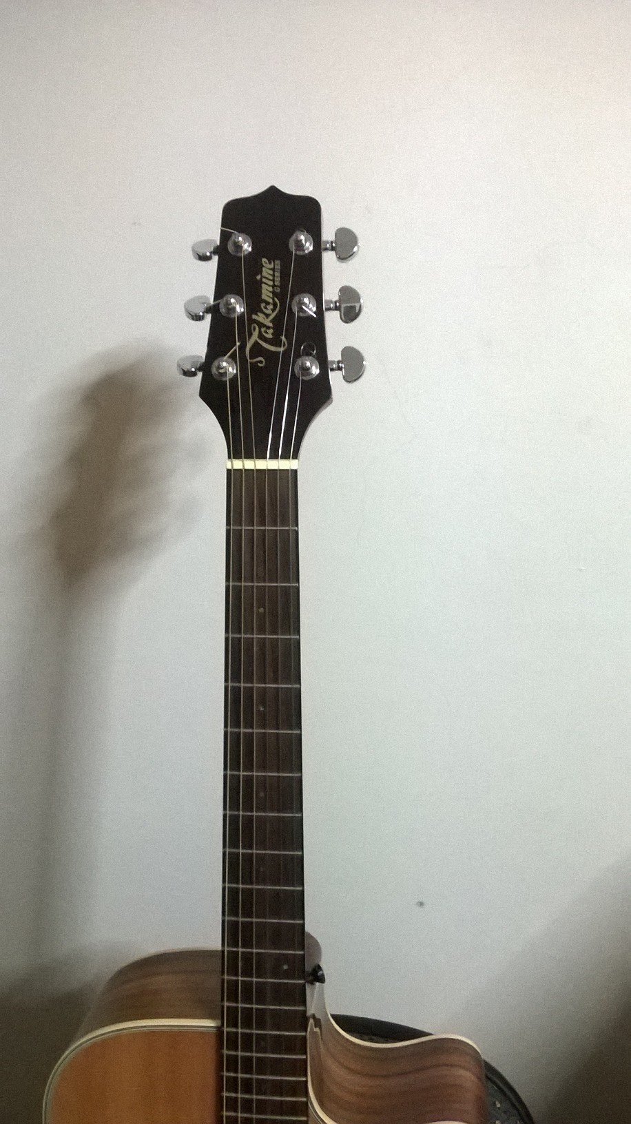 takamine-eg330sc-2.jpg