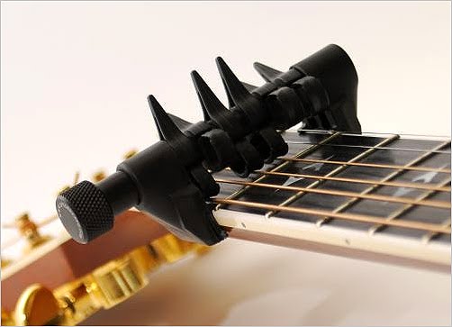 spidercapo.jpg