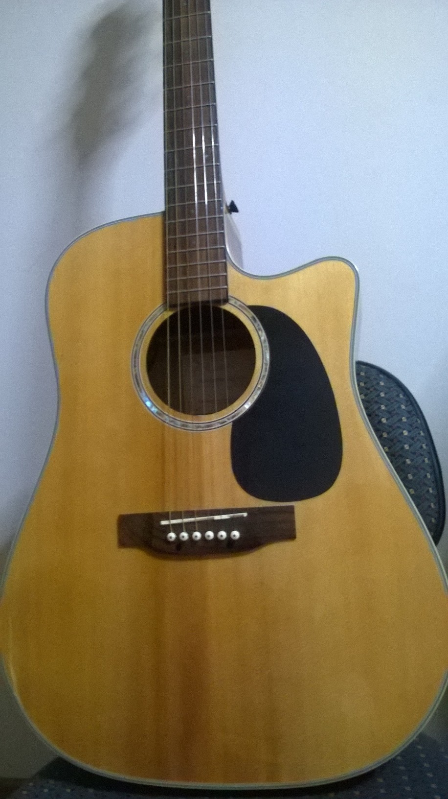 takamine-eg330sc-3.jpg