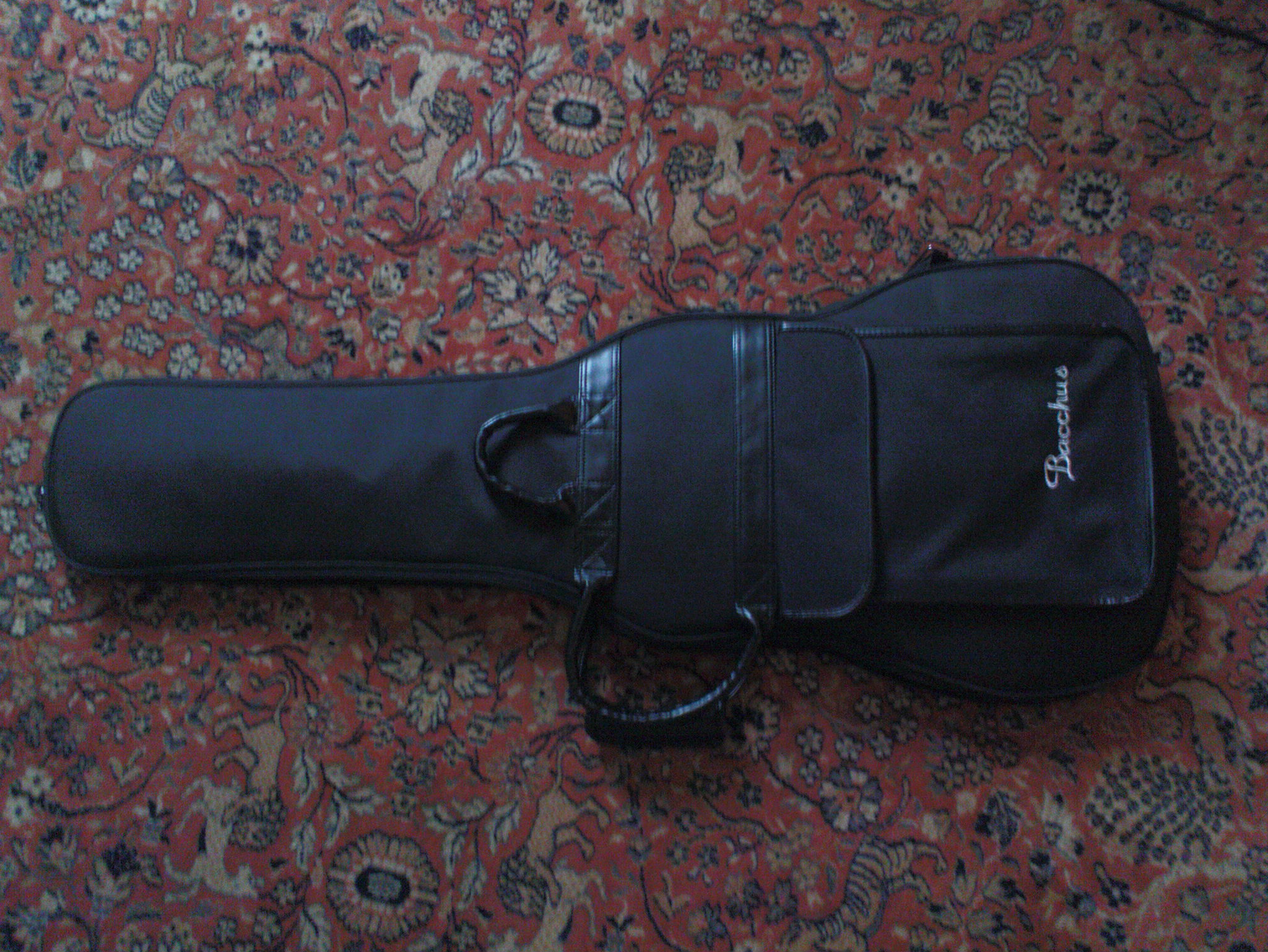 bacchus-gig-bag-559171.jpg