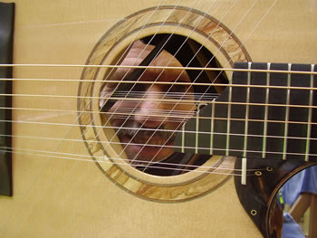 rogitar_2L.jpg