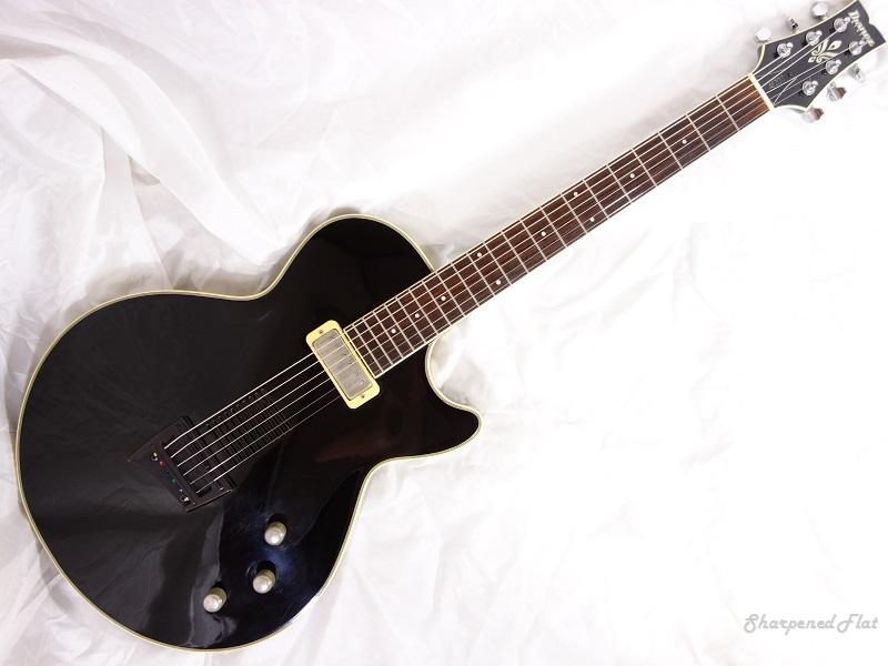 Ibanez-AE-200-guitar_front.jpg