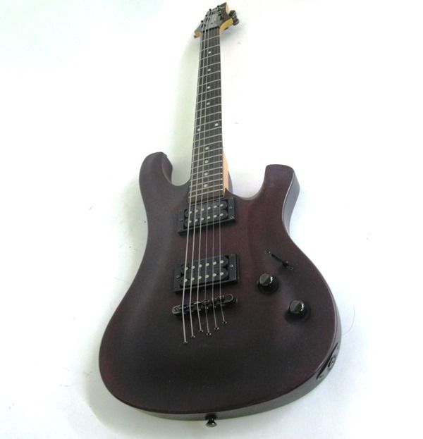 schecter-006-deluxe2.jpg