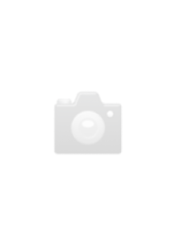 4096_gr.jpg
