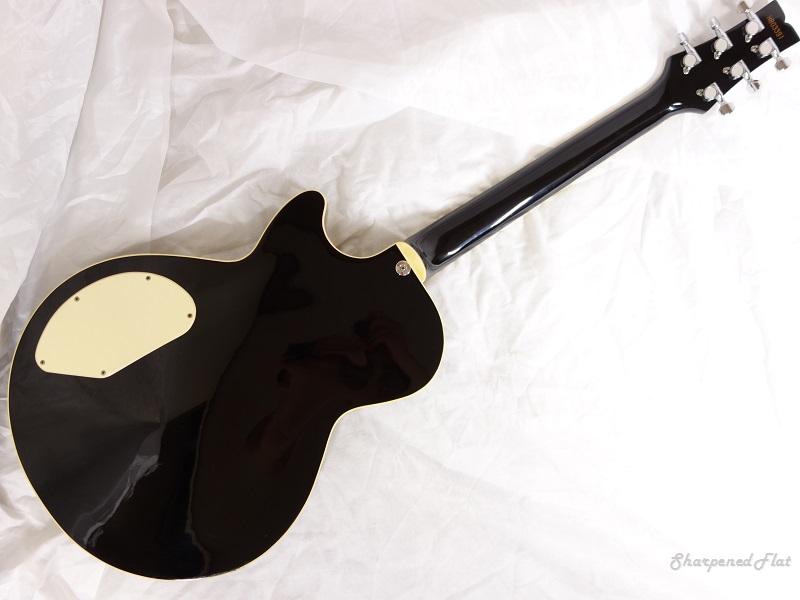 Ibanez-AE-200-guitar_rear.jpg