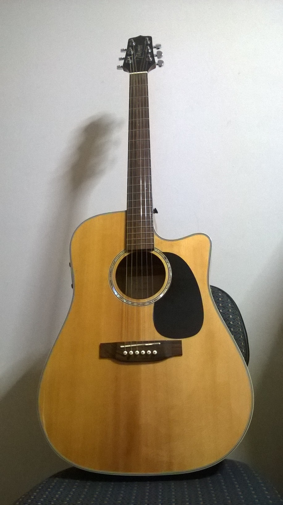 takamine-eg330sc-1.jpg