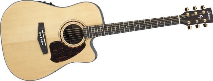 1-036-036415-Ibanez-PF60.jpg