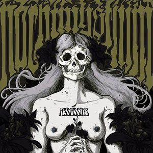 nachtmystium+assassins.jpg