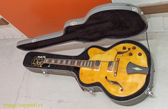 ibanez_AF105_full_case.jpg