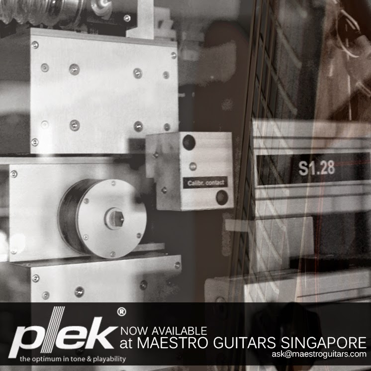 PLEK_MAESTRO_SOFT.jpg