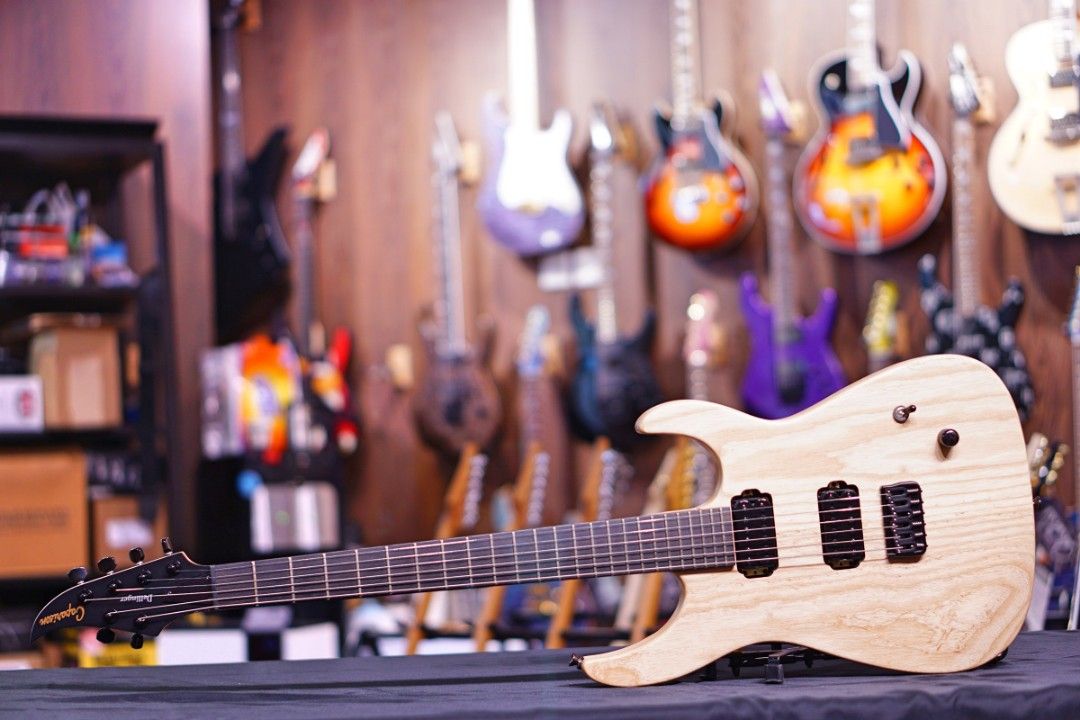 wts_caparison_dellinger_ii_fxa_1675599993_c47ae9ca_progressive.jpg